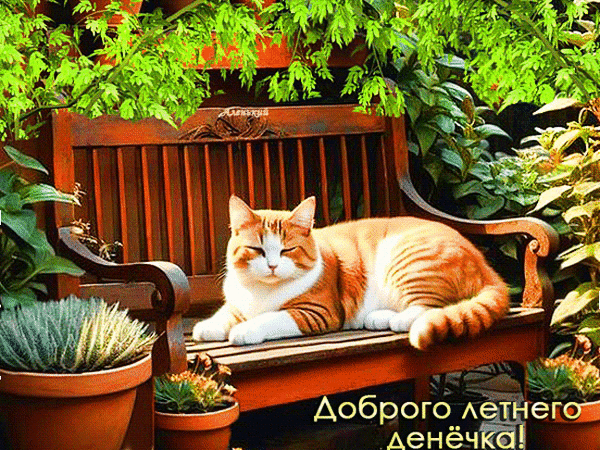 Анимированная открытка Доброго летнего денёчка!