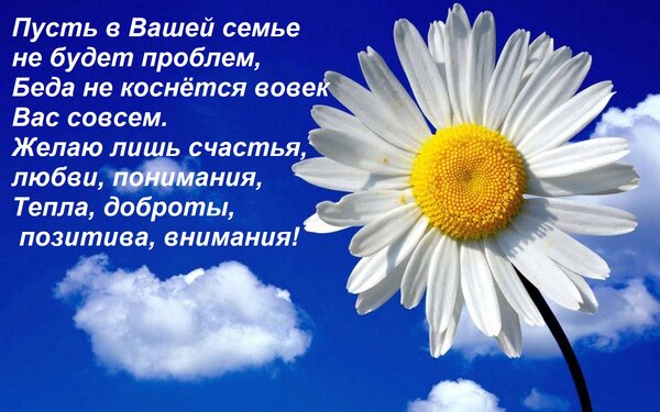 Открытка Пусть в Вашей семье не будет проблем, Беда не коснётся вовек Вас совсем. Желаю лишь счастья, любви,