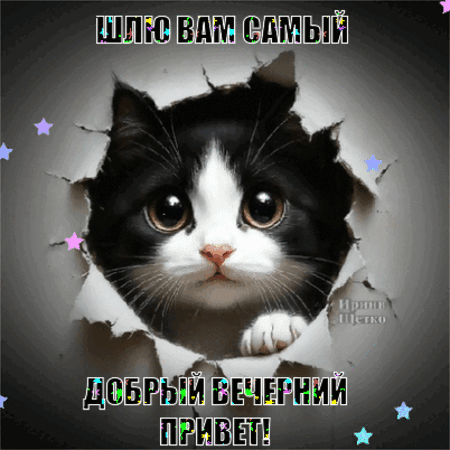 Анимированная открытка Вечерний привет!