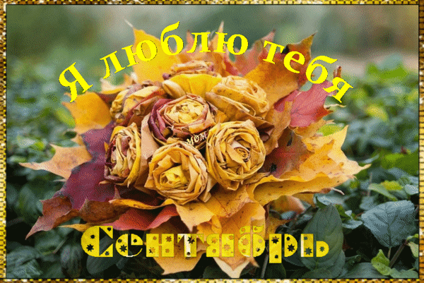 Анимированная открытка Я люблю тебя Сентябрь