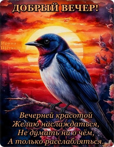 Открытка Добрый вечер!