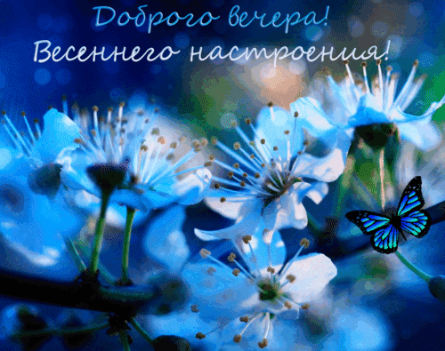 Анимированная открытка Добрый вечер!
