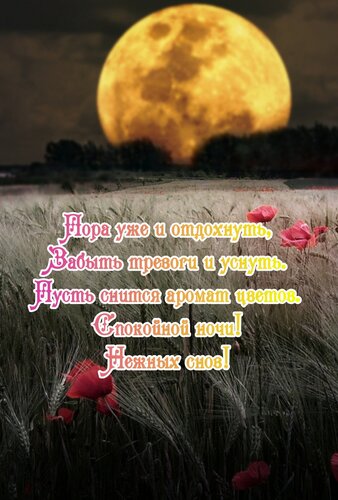 Открытка Пора уже и отдохнуть,забыть тревоги и уснуть.Пусть снится аромат цаетов.Спокойной ночи!Нежных снов!