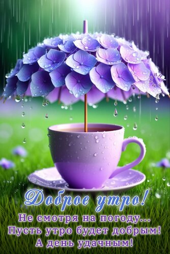 Открытка ДОБРОЕ УТРО! НЕ СМОТРЯ НА ПОГОДУ... ПУСТЬ УТРО БУДЕТ ДОБРЫМ! А ДЕНЬ УДАЧНЫМ!