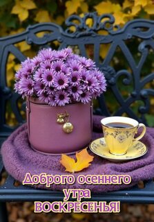 dobrogo-osennego-utra-voskresenya.jpg?z=284