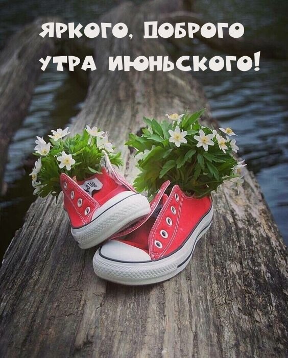Открытка яркого доброго июньского утра