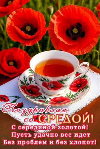 Открытка ПОЗДРАВЛЯЮ СО СРЕДОЙ! С СЕРЕДИНОЙ ЗОЛОТОЙ! ПУСТЬ УДАЧНО ВСЕ ИДЕТ БЕЗ ПРОБЛЕМ И БЕЗ ХЛОПОТ!