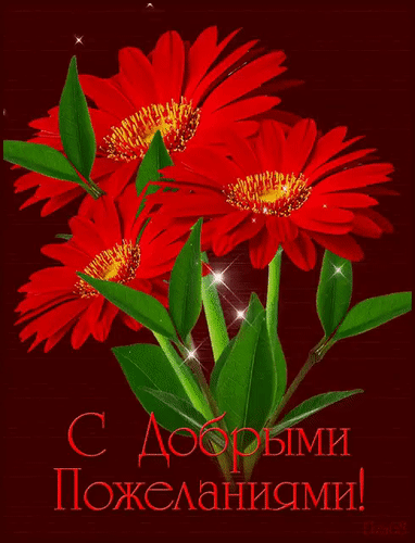 Анимированная открытка С добрыми пожеланиями!