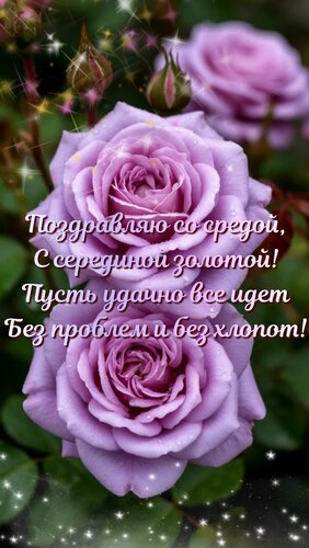Открытка Поздравляю со средой, С серединой золотой! Пусть удачно все идет Без проблем и без хлопот!