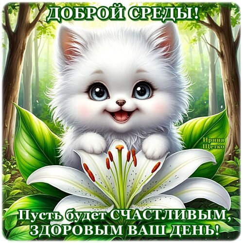 Открытка Доброй среды!