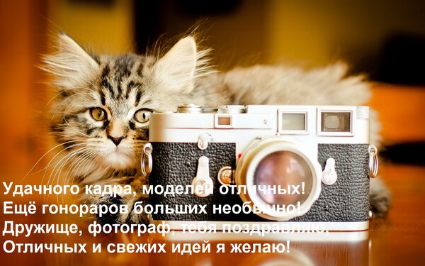 Открытка Удачного кадра, моделей отличных! Ещё гонораров больших необычно! Дружище, фотограф, тебя поздравляю