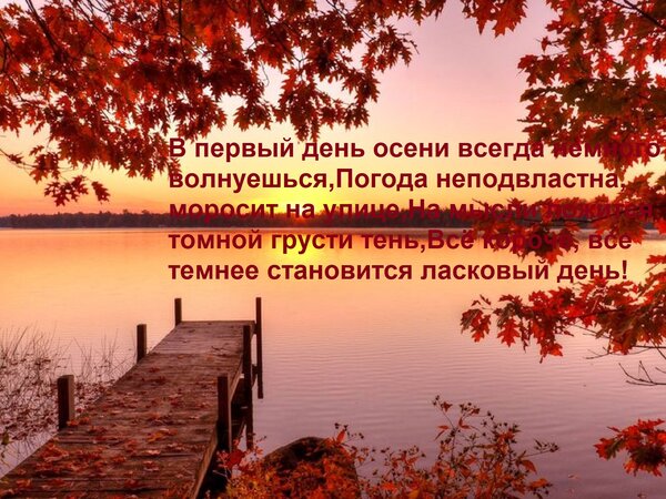 Открытка В первый день осени всегда немного волнуешься, Погода неподвластна, моросит на улице, На мысли ложит
