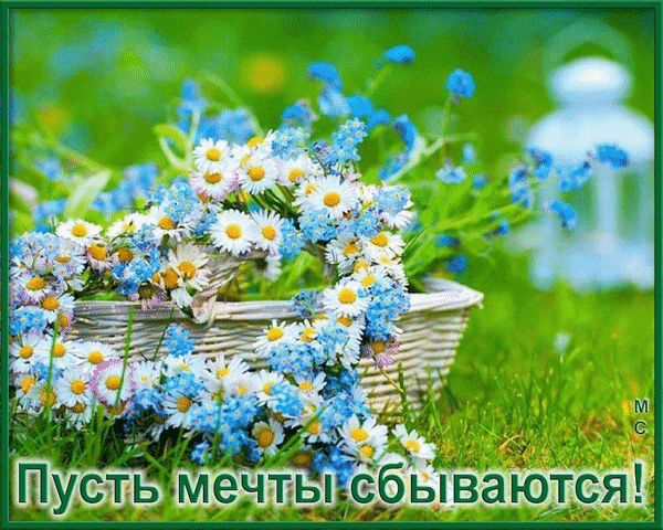Анимированная открытка Пусть мечты сбываются!, (М. С.)