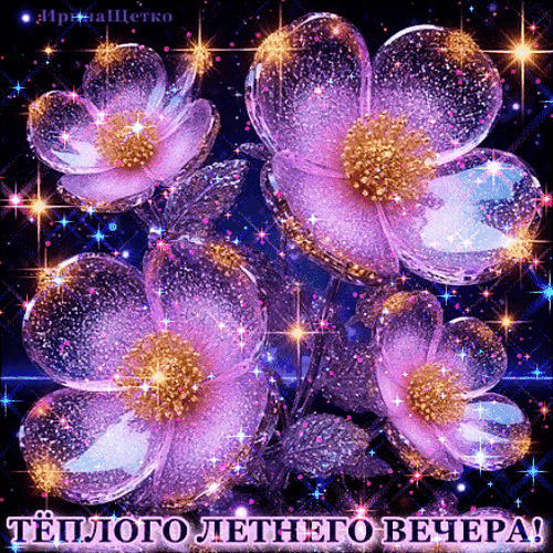 Анимированная открытка Летнего вечера!