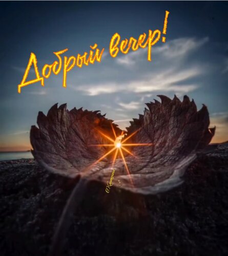 Открытка Добрый вечер!