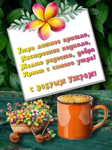 Открытка Утро летнее пришло, Настроение подняло, Желаю радости и добра Прямо с самого утра!