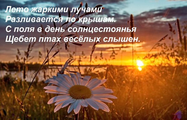 Открытка Лето жаркими лучами Разливается по крышам. С поля в день солнцестоянья Щебет птах весёлых слышен.