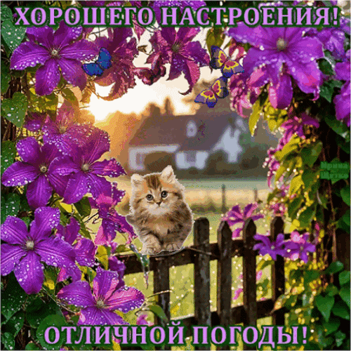 Анимированная открытка Хорошего настроения!, Отличной погоды!