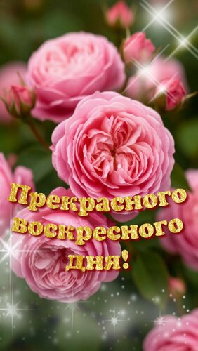 Открытка Прекрасного воскресного дня!
