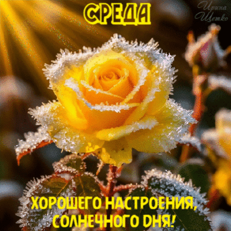 Анимированная открытка СРЕДА, ХОРОШЕГО НАСТРОЕНИЯ, СОЛНЕЧНОГО ДНЯ!