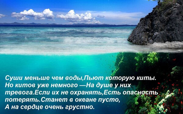 Открытка Суши меньше чем воды, Пьют которую киты. Но китов уже немного — На душе у них тревога. Если их не ох