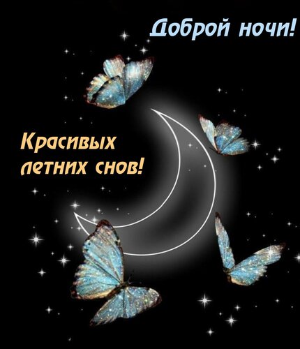 Открытка Доброй ночи! Красивых летних снов!