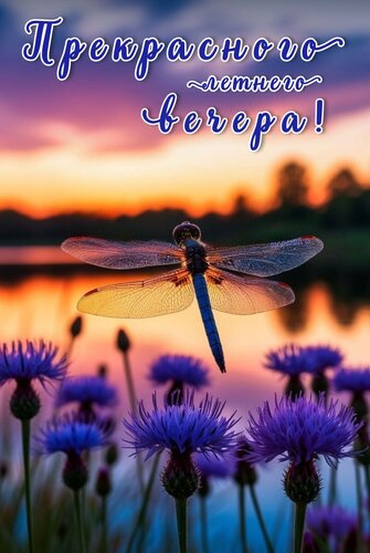 Открытка ПРЕКРАСНОГО ЛЕТНЕГО ВЕЧЕРА!
