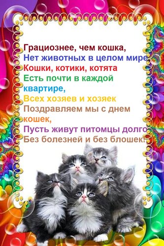 Открытка Грациознее, чем кошка, Нет животных в целом мире, Кошки, котики, котята Есть почти в каждой квартире
