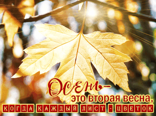 Анимированная открытка Осень