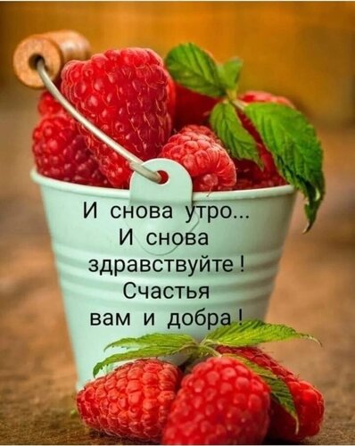 Открытка и снова утро и снова здравствуйте