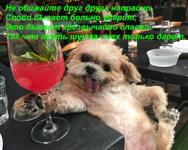 Открытка Не обижайте друг друга напрасно, Слово бывает больно ударит, Это бывает чрезвычайно опасно. Так что