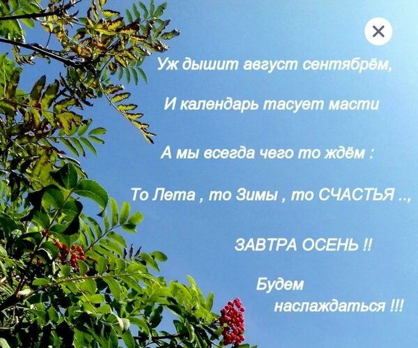 Открытка уж дышит август сентябрем