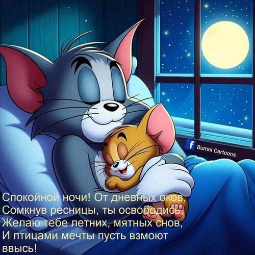 Открытка Спокойной ночи! От дневных оков, Сомкнув ресницы, ты освободись, Желаю тебе летних, мятных снов, И п
