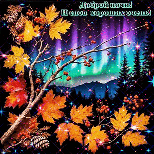 Анимированная открытка Доброй ночи!
