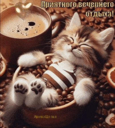 Анимированная открытка Приятного вечернего отдыха!