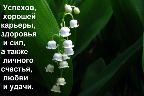 Открытка Успехов, хорошей карьеры, здоровья и сил, а также личного счастья, любви и удачи.