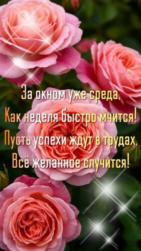 Открытка За окном уже среда,как неделя быстро мчится!Пусть успехи ждут в трудах, всё желанное случится!