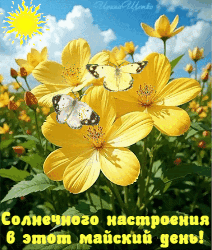 Анимированная открытка Солнечного настроения!