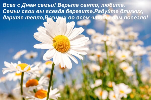 Открытка Всех с Днем семьи! Верьте свято, любите, Семьи свои вы всегда берегите, Радуйте близких, дарите тепл