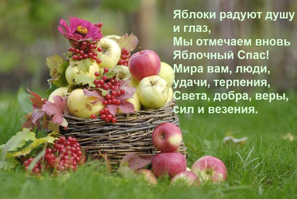 Открытка Яблоки радуют душу и глаз, Мы отмечаем вновь Яблочный Спас! Мира вам, люди, удачи, терпения, Света,