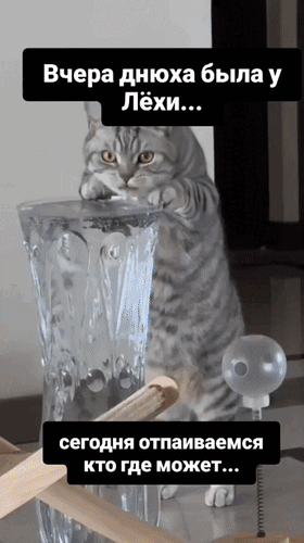 Анимированная открытка Вчера днюха была у Лёхи... сегодня отпаиваемся кто где может...