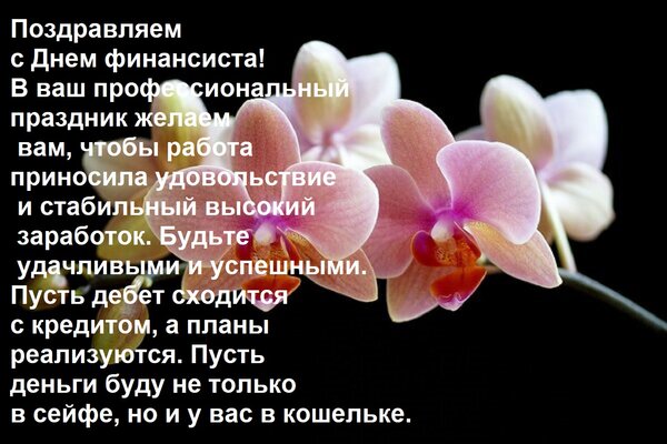 Открытка Поздравляем с Днем финансиста! В ваш профессиональный праздник желаем вам, чтобы работа приносила уд