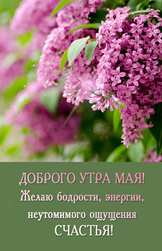 Анимированная открытка Доброго утра мая! Желаю бодрости, энергии, неутомимого ощущения счастья!