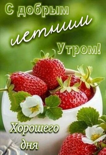 Открытка с добрым летним утром