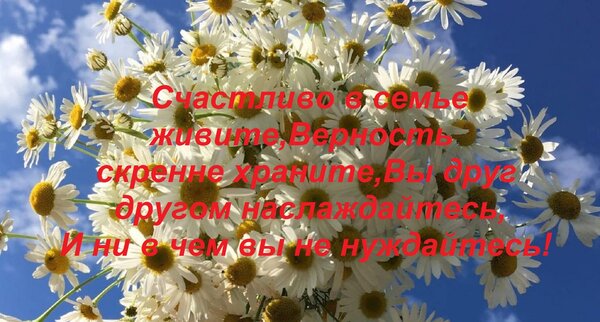Открытка Счастливо в семье живите,Верность скренне храните,Вы друг другом наслаждайтесь, И ни в чем вы не ну