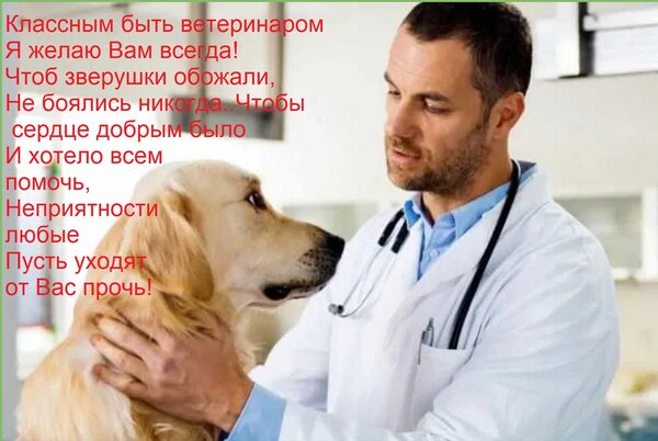 Открытка Классным быть ветеринаром Я желаю Вам всегда! Чтоб зверушки обожали, Не боялись никогда. Чтобы сердц