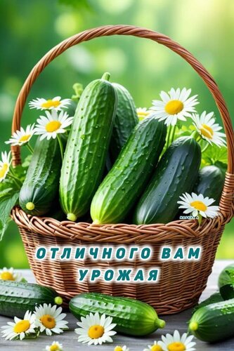 Открытка ОТЛИЧНОГО ВАМ УРОЖАЯ!