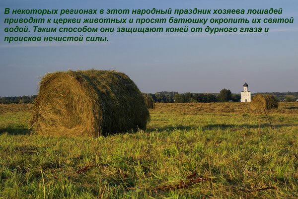 Открытка В некоторых регионах в этот народный праздник хозяева лошадей приводят к церкви животных и просят ба