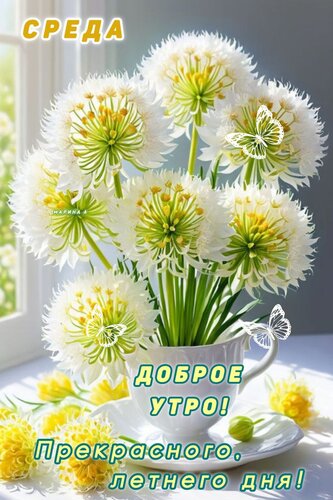 Открытка СРЕДА. ДОБРОЕ УТРО! ПРЕКРАСНОГО ЛЕТНЕГО ДНЯ!