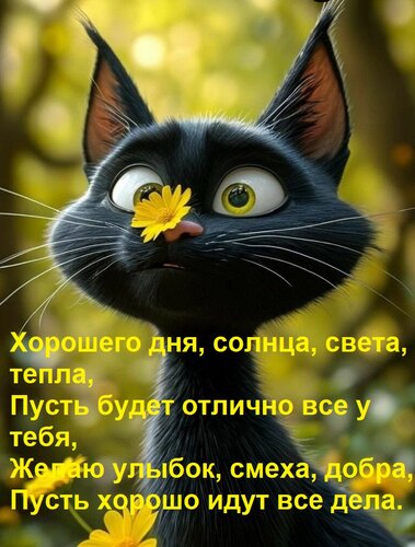 Открытка Хорошего дня, солнца, света, тепла, Пусть будет отлично все у тебя, Желаю улыбок, смеха, добра, Пуст